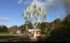 Wind Tree