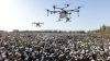 Drohnen in der Landwirtschaft