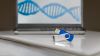 Die DNA-Nanostrukturen sollen jeweils mehrere hundert Bits speichern können – Symbolbild. (Quelle: Universität Paderborn)