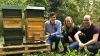 Bienenstock mit Entwicklerteam