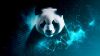 Die Hackergruppe Evasive Panda nutzt das Monlam-Festival, um Tibeter zu kompromittieren. (Quelle: ESET/welivesecurity.com)