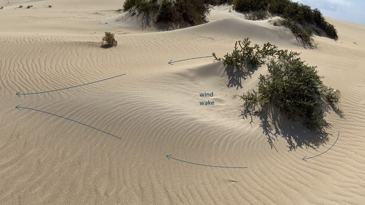 Trifft Wind auf ein Hindernis, entsteht dahinter eine Zone mit niedrigem Druck – eine sogenannte Windschleppe. Dieses Phänomen zeigt sich in Sandmustern, wie auf einem Foto von den Kanarischen Inseln. (Foto: Daniel Krause/SINTEF)
