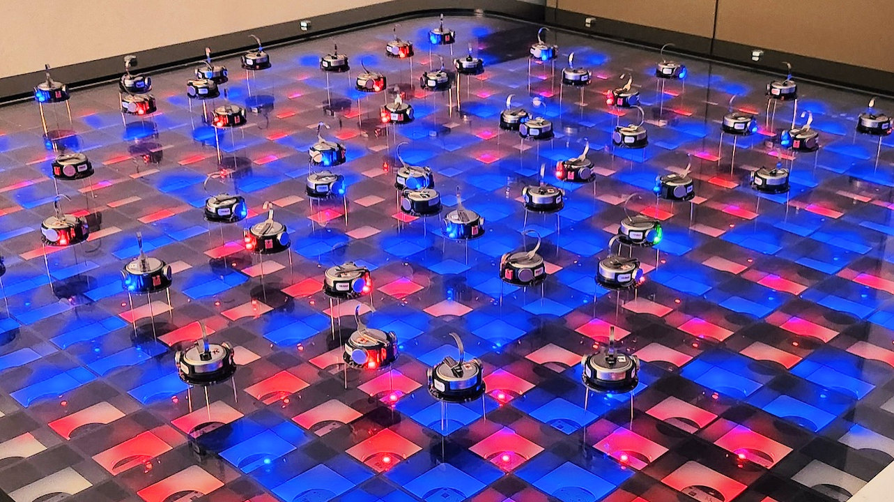 Einem Schwarm aus 50 „Kilobots“ half die von Bienen inspirierte Cross-Inhibition dem Schwarm, einen Konsens zwischen roten und blauen Feldern zu finden. (Quelle: Raina Zakir/IRIDIA/ULB)