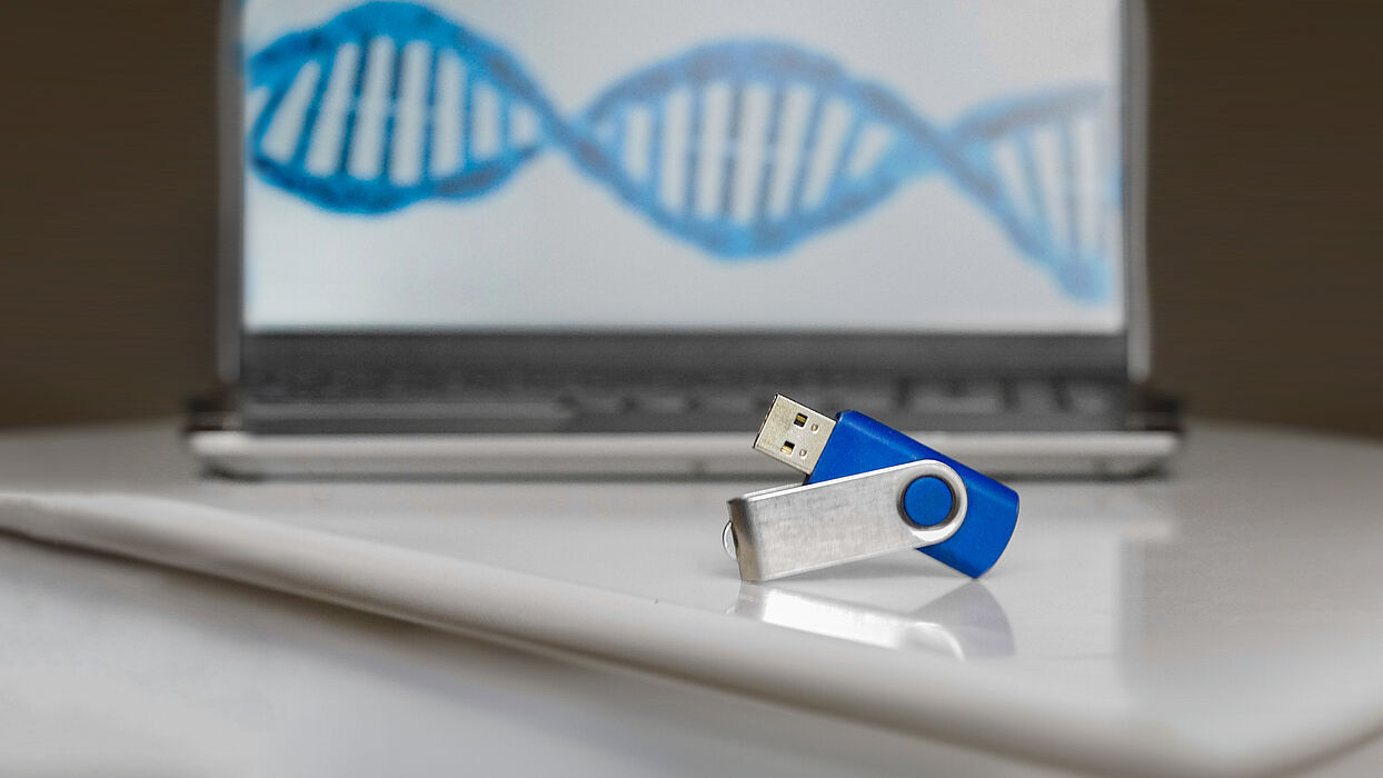 Die DNA-Nanostrukturen sollen jeweils mehrere hundert Bits speichern können. (Symbolbild: Universität Paderborn)
